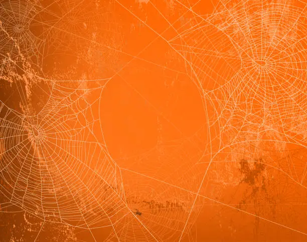 Vector illustration of halloween orange wall vector background with spider web