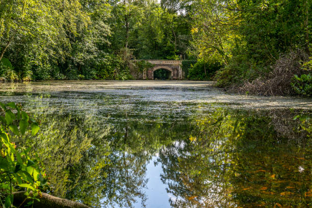 Blandford Forum\nDorset\nEngland\nJune 22, 2018\nBridge over the river Stour