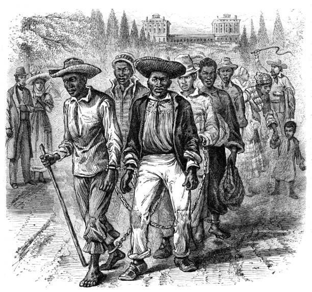 stockillustraties, clipart, cartoons en iconen met slave-coffle langs het capitool - slavernij