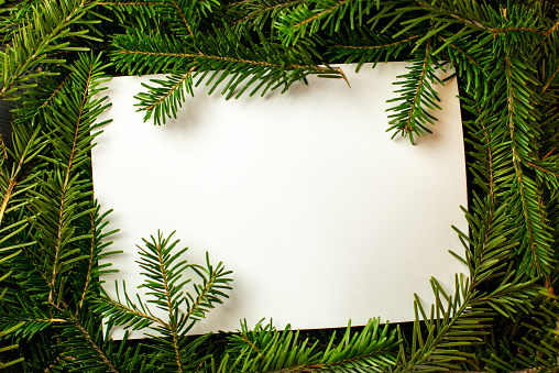 Blank card on fir tree branches, top view. Space for text