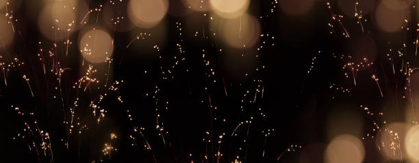 istock Celebratory golden bokeh background 1178319107