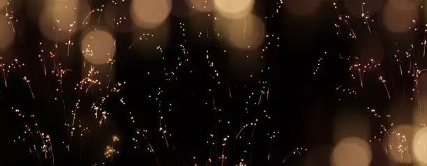 Celebratory golden bokeh background with firework and laburnum