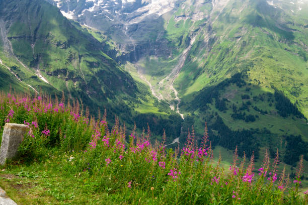 Small waterfalls along the eastern side of Monte Rosa, a mountain range in the Pennine Alps. Piedmont. Italy.