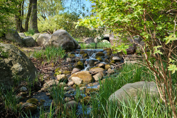 istock A brook running across stones and rocks in a park 1178321446