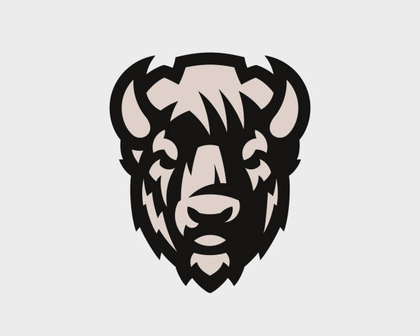 ilustrações de stock, clip art, desenhos animados e ícones de bison head logo. bull emblem design editable for your business. vector illustration. - bisonte