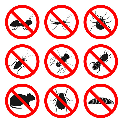 Pest control signs. Repellent and insecticide symbols. Vector.