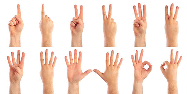 Male hands counting stock photo