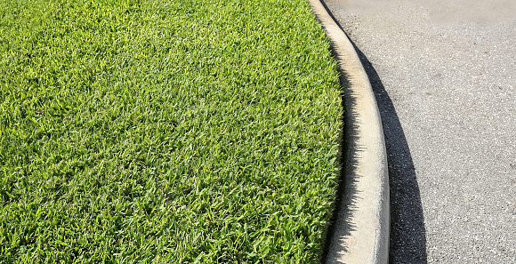 Freshly cut, thick and healthy St. Augustine grass growing close to the curb.
