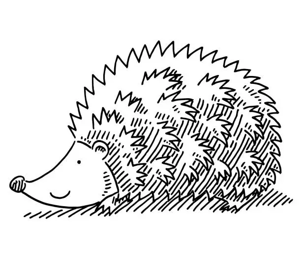 Vector illustration of Cartoon Hedgehog Drawing