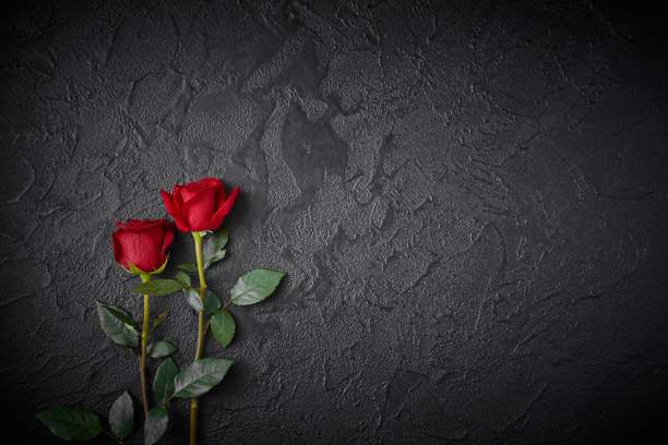 istock Two red roses on a dark, black textured background. Space for text. 1178329138