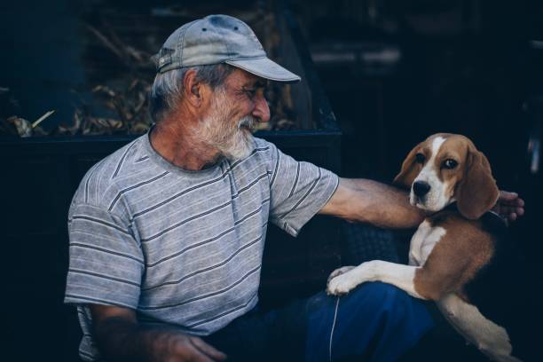 istock Man and dog friends 1178329283