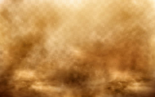 Desert sandstorm, brown dusty cloud on transparent Desert sandstorm, brown dusty cloud or dry sand flying with gust of wind, big explosion realistic texture with small particles or grains vector illustration isolated on transparent background wind backgrounds stock illustrations