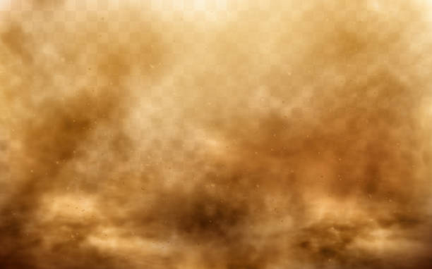Desert sandstorm, brown dusty cloud on transparent Desert sandstorm, brown dusty cloud or dry sand flying with gust of wind, big explosion realistic texture with small particles or grains vector illustration isolated on transparent background dust pollution stock illustrations