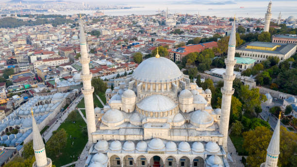istock Aerial view of Istanbul 1178331599