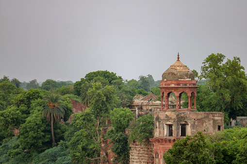 Ruins on the banks of the Yamuna River near the Taj Mahal, Agra, Uttar Pradesh, India