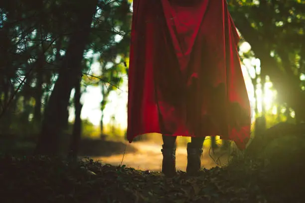 Little red ridding hood walking through forest alone.