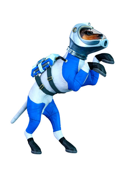istock 3D illustration astronaut dog on white 1178332455