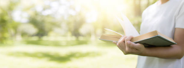 istock Read and knowledge concept, hand holding book on soft green park banner background 1178333095