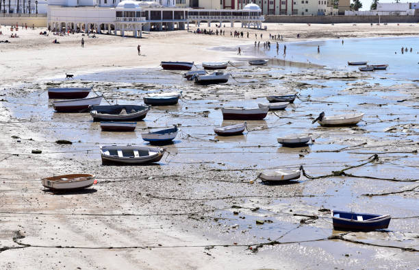 istock Boats in low tide, Cadiz 1178333123