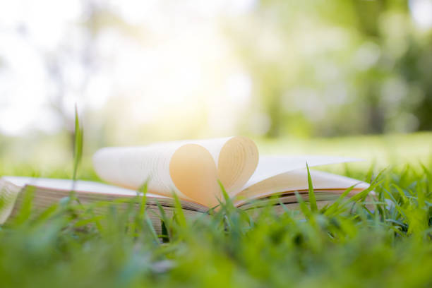 istock book opened as heart shape on grass in park, knowledge and education concept 1178333325