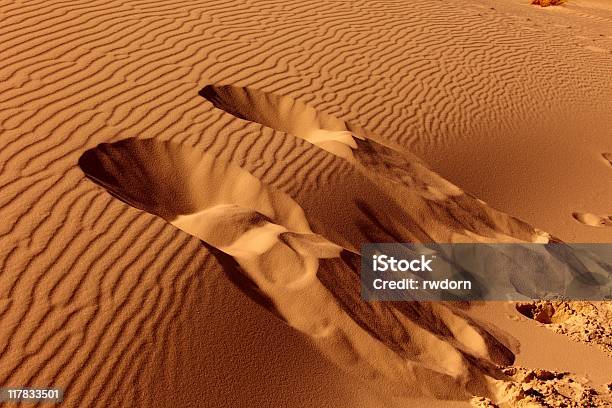 Photo libre de droit de Dunes De Sable Avec Un Pied Géant banque d'images et plus d'images libres de droit de Activité - Activité, Activité de loisirs, Aventure