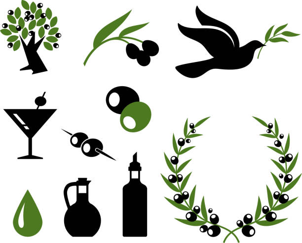 ilustraciones, imágenes clip art, dibujos animados e iconos de stock de olive colección blanco y negro sin royalties de conjunto de iconos vectoriales - aceite de oliva