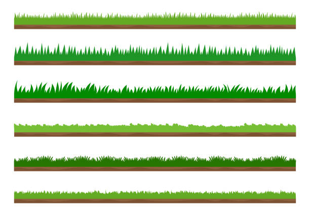 istock Collection of green grass border set isolated on white background - Vector Illustration 1178336101