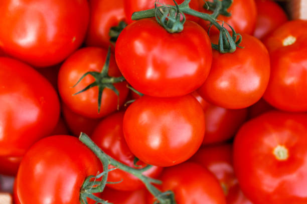 istock Photo crop of fresh tomato 1178337775