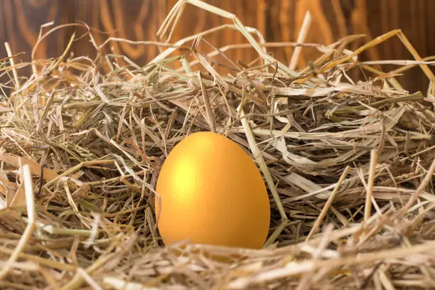 Photo of invest in gold egg