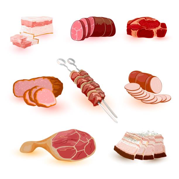 illustrations, cliparts, dessins animés et icônes de grand ensemble avec cru et préparé produits de viande salo, bacon, saucisse, steak, shashlik, barbecue, gigot - fatback