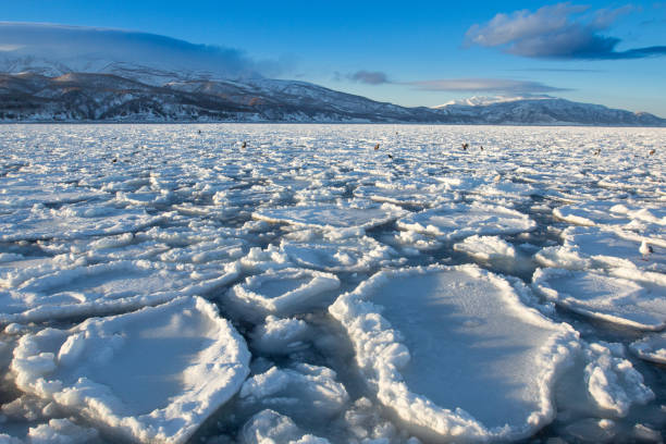 The Sea ice in hokkaido The Sea ice had blown right up to the harbor in hokkaido shiretoko mountains stock pictures, royalty-free photos & images