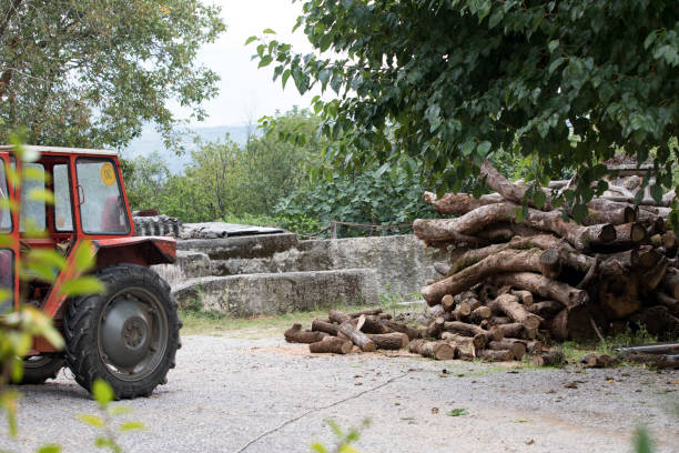 Preparing Wood for Winter With Tractor.