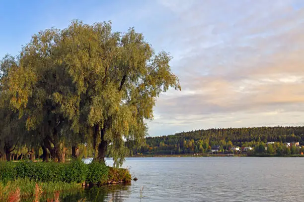 Photo of Autumn landscape on Vanajavesi lake in Hameenlinna, Finland