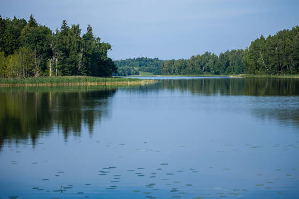 istock Vasaknas lake in Lithuania 1178343025
