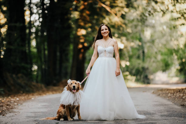 istock Bride and Pet Love and Wedding 1178346617