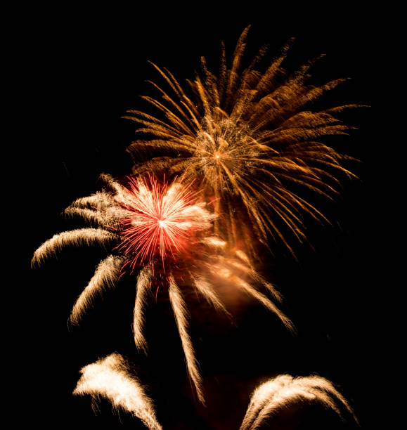 istock Beautiful Firework in the sky, celebration and new year concept 1178346789