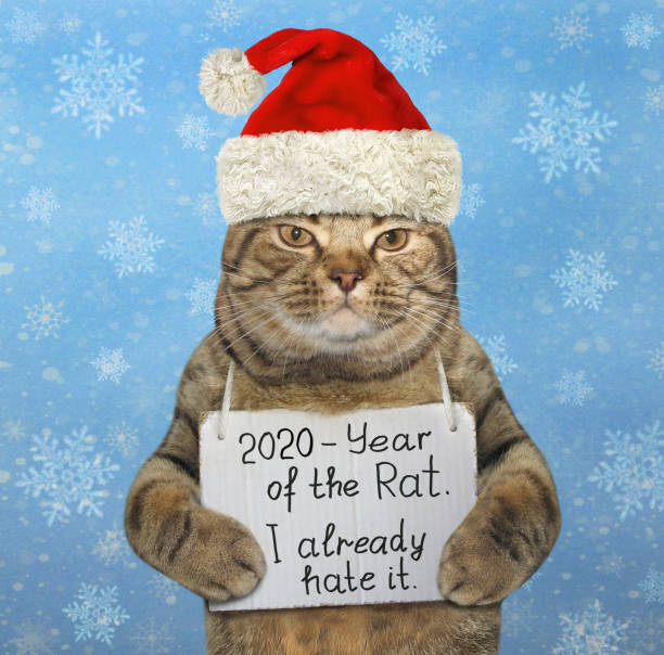 istock Cat in red hat hates year of rat 2 1178347252