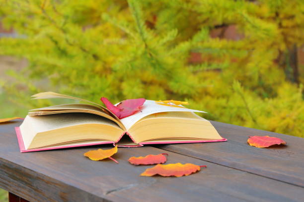 istock A book on a wooden bench in an autumn park. 1178348833