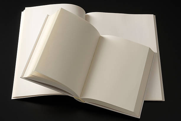 istock Isolated shot of opened two blank book on black background 117835013