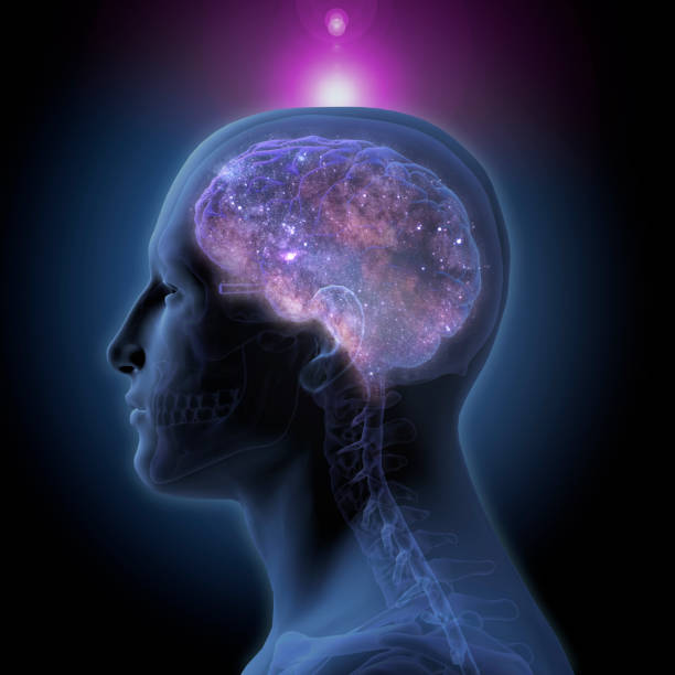 istock Side View of Enlightened Human Brain on Black Background 1178354097