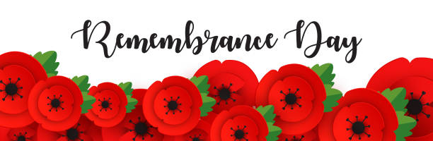 erinnerung, anzac day web-header. mohnblumen blumen. gedenkbanner, karte. - poppy field remembrance day flower stock-grafiken, -clipart, -cartoons und -symbole