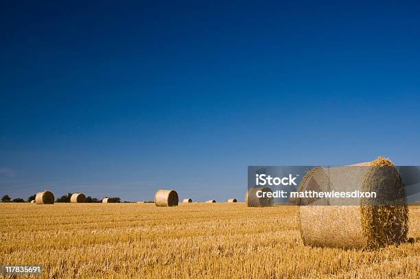 Farmland Und Textfreiraum Stockfoto und mehr Bilder von Agrarbetrieb - Agrarbetrieb, Agrarland, Blau