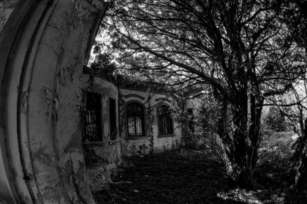 istock Ruins of Country  Chateau 1178357272