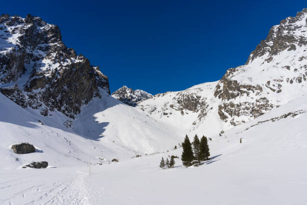 istock Mala Studena dolina in the winter. Tatra Mountains. Slovakia. 1178357787
