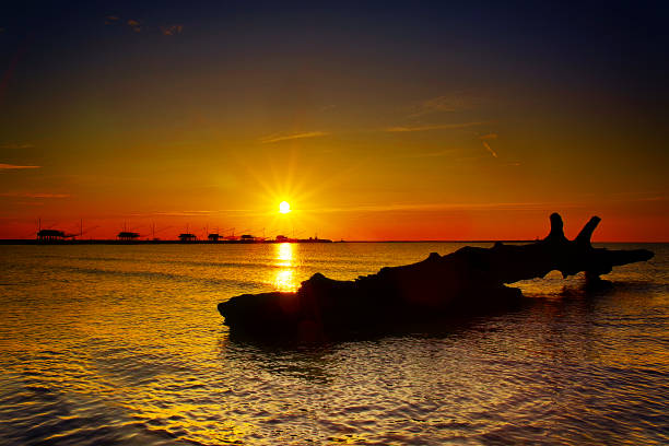 sun just  rised over Adriatic sea