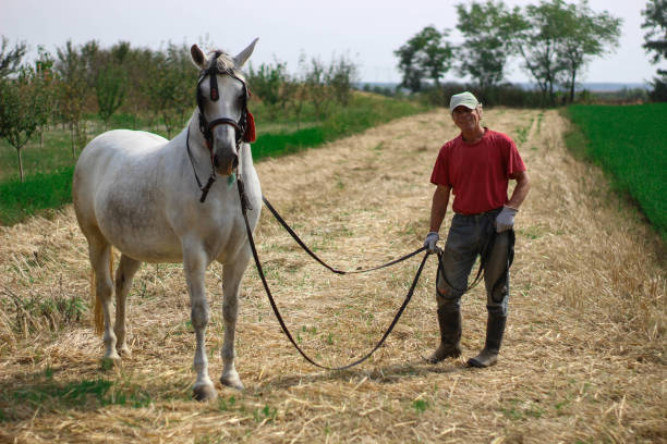 istock horseman walking with horse 1178362465