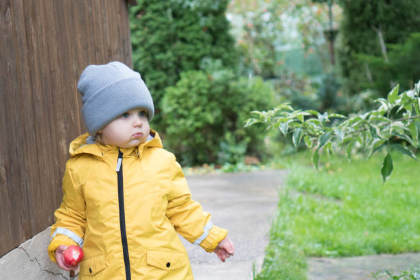 un niño lindo con un impermeable amarillo y un sombrero gris sobre un fondo de vegetación tiene una manzana mordida en sus manos y mira a un lado. la vida en el campo en un día lluvioso - macintosh apples fotos fotografías e imágenes de stock