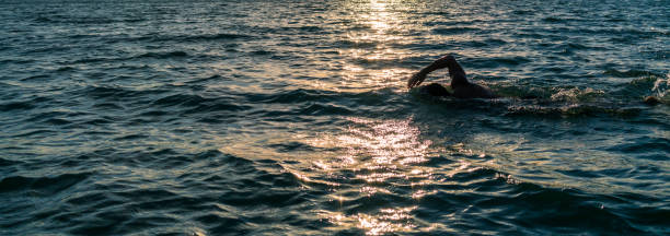 istock Man swimming in open water at sunset 1178368744