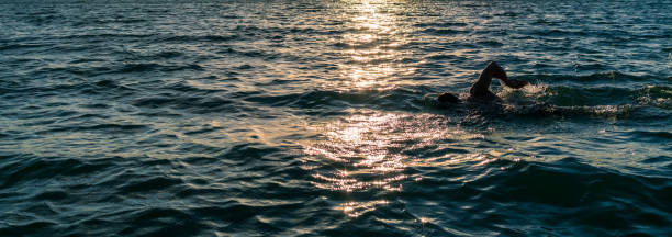 istock Man swimming in open water at sunset 1178369011