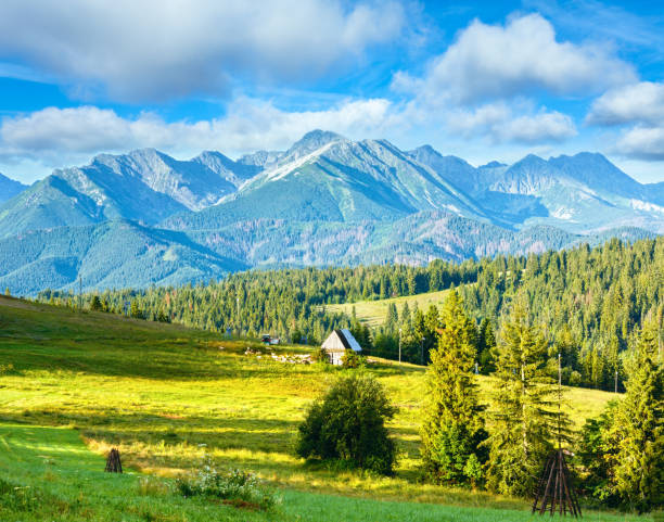 夏の山のカントリービュー - european alps carpathian mountain range evergreen tree tree ストックフォトと画像